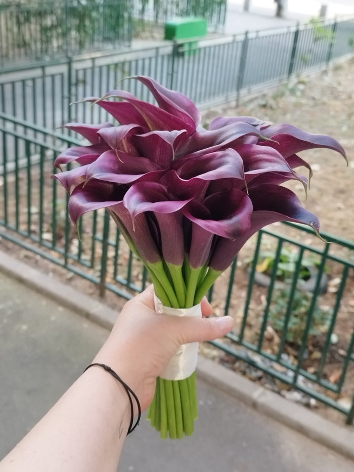 Buchet Nasa 2