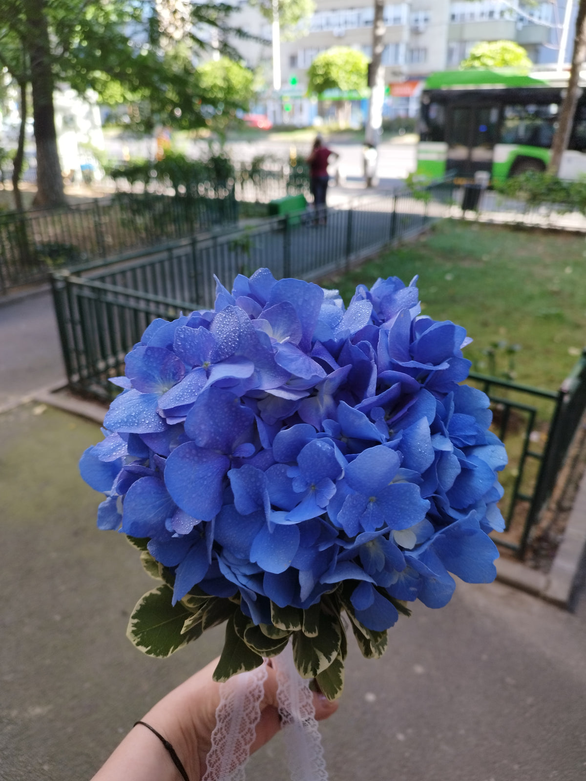 Buchet Nasa 5
