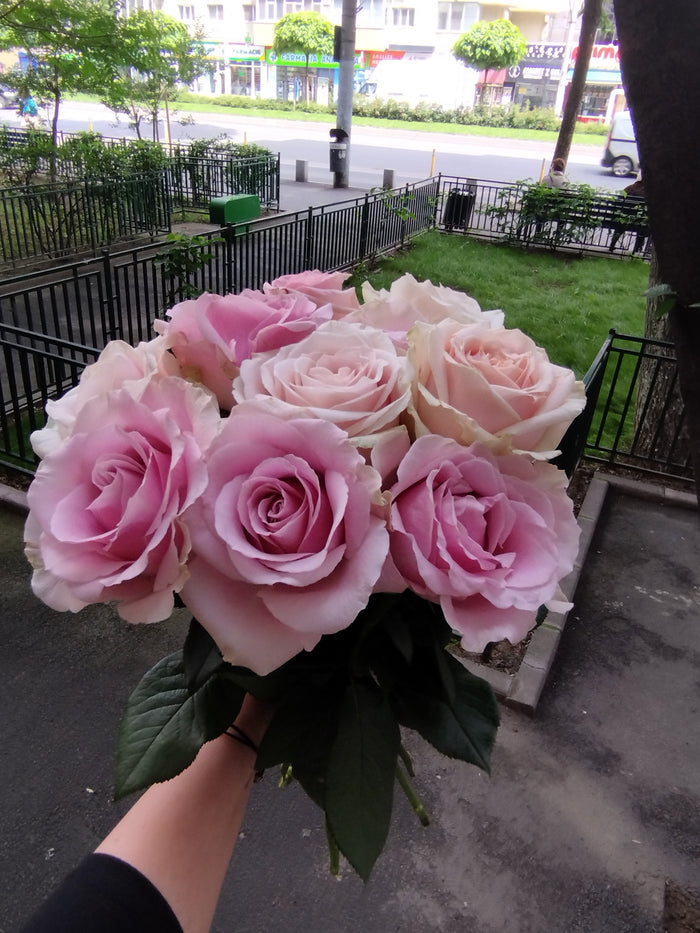 Buchet 9 Trandafiri